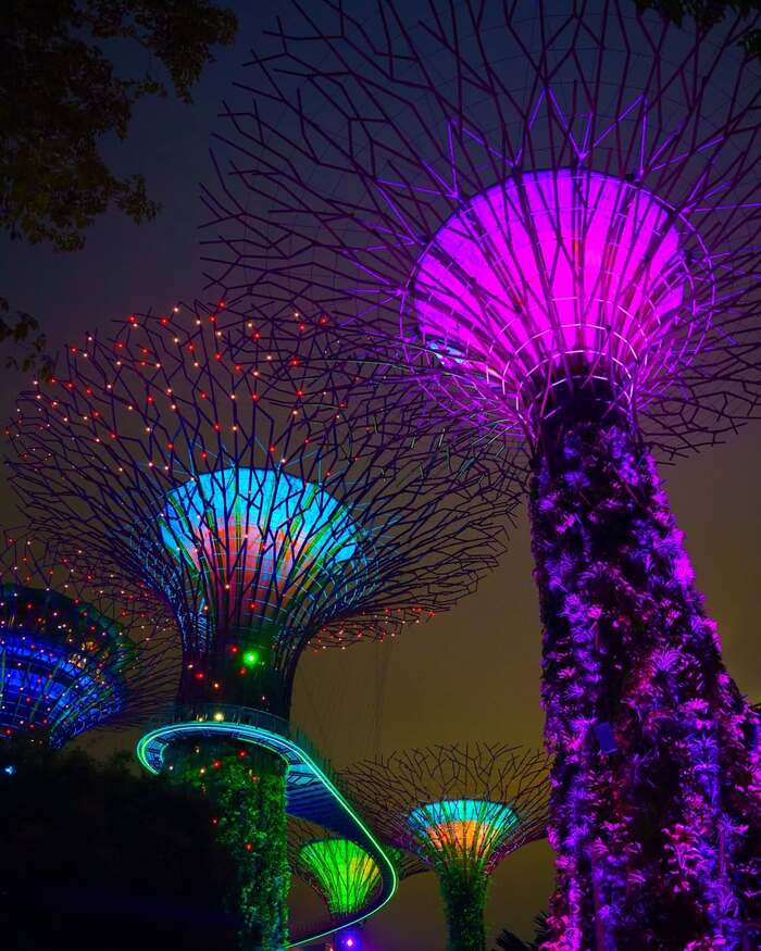khám phá Singapore về đêm