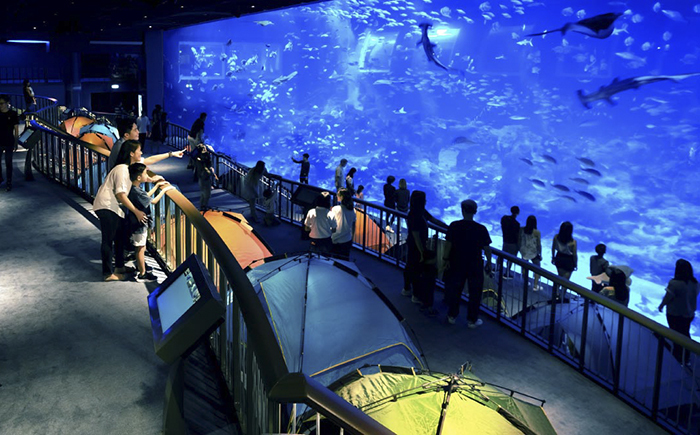 du lịch đảo Sentosa Singapore