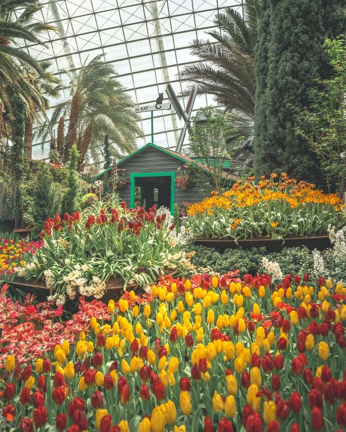 Gardens By The Bay