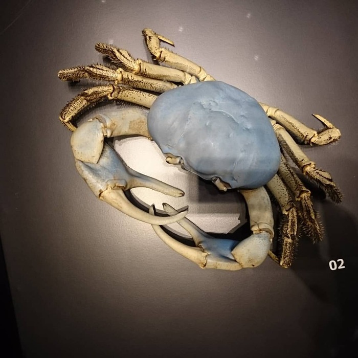 bảo tàng Lee Kong Chian Singapore