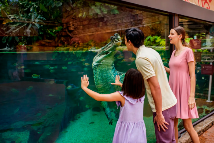 Du lịch River Wonders Singapore