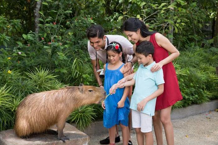 Du lịch River Wonders Singapore