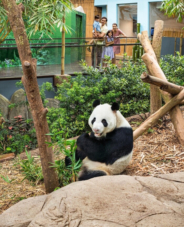 Du lịch River Wonders Singapore
