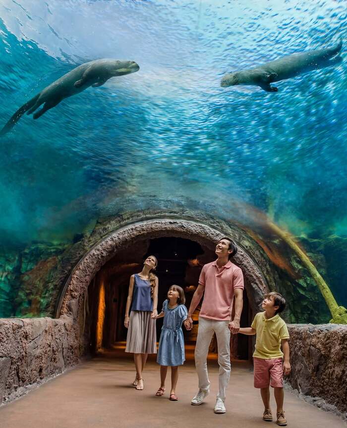 Du lịch River Wonders Singapore