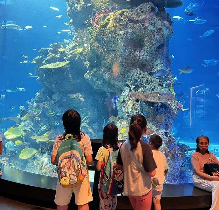 thủy cung Sea Aquarium
