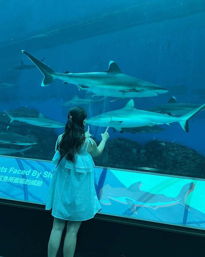 thủy cung Sea Aquarium