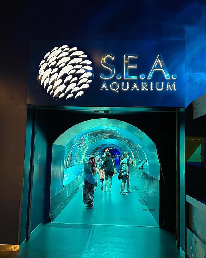 thủy cung Sea Aquarium