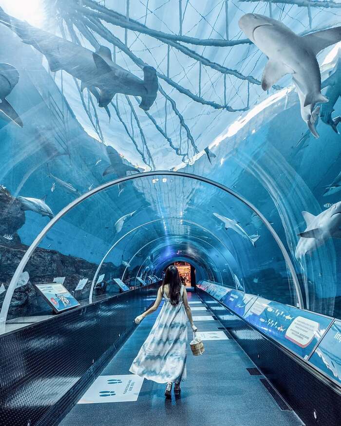 thủy cung Sea Aquarium