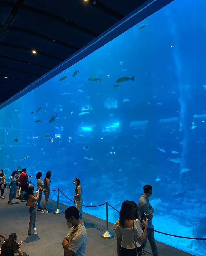 thủy cung Sea Aquarium