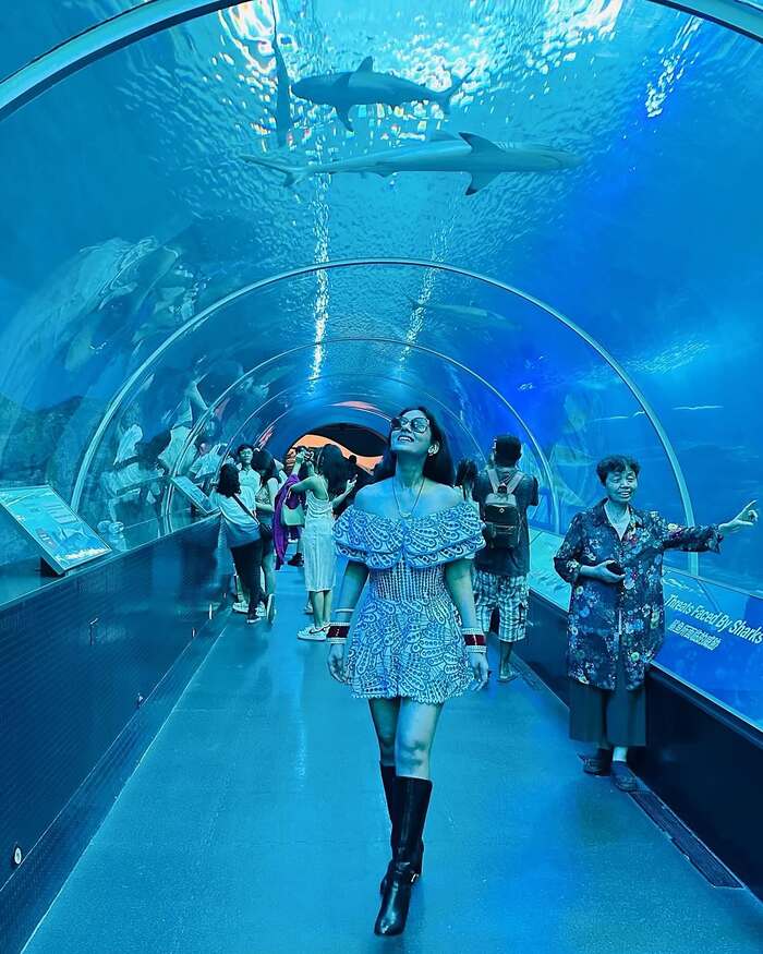 thủy cung Sea Aquarium