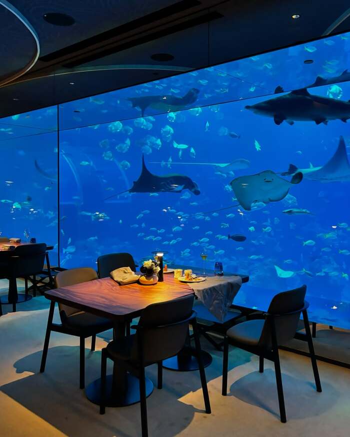 thủy cung Sea Aquarium